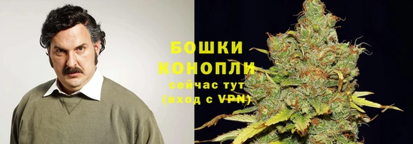 apvp Гусь-Хрустальный