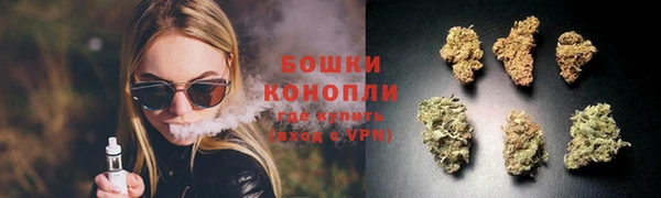 ГАЛЛЮЦИНОГЕННЫЕ ГРИБЫ Гусиноозёрск