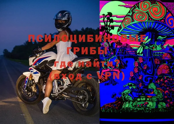ГАЛЛЮЦИНОГЕННЫЕ ГРИБЫ Гусиноозёрск