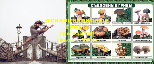 героин Горняк