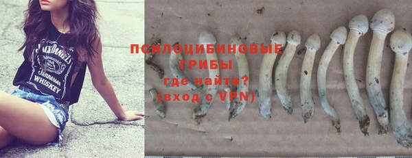 кристаллы Гусев